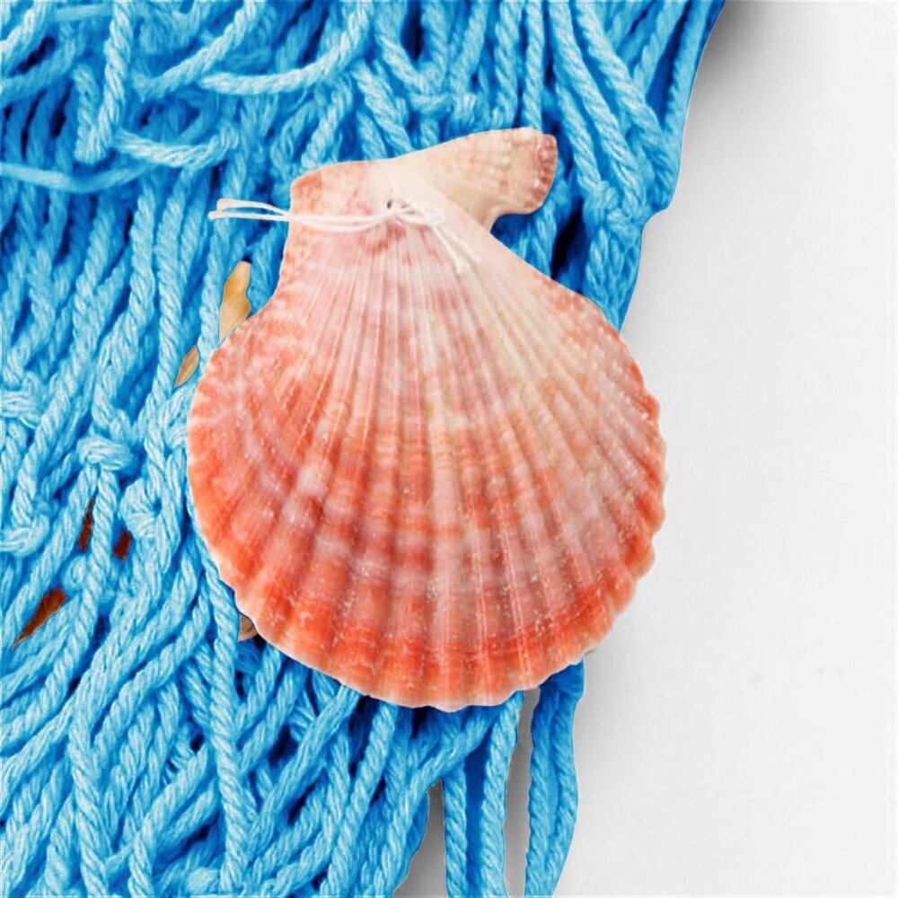 Nature Fish Net Wall Decoration with Shells, Ocean Themed Wall Hangings Fishing - Picture 3 of 7